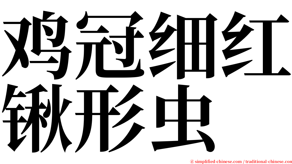 鸡冠细红锹形虫 serif font