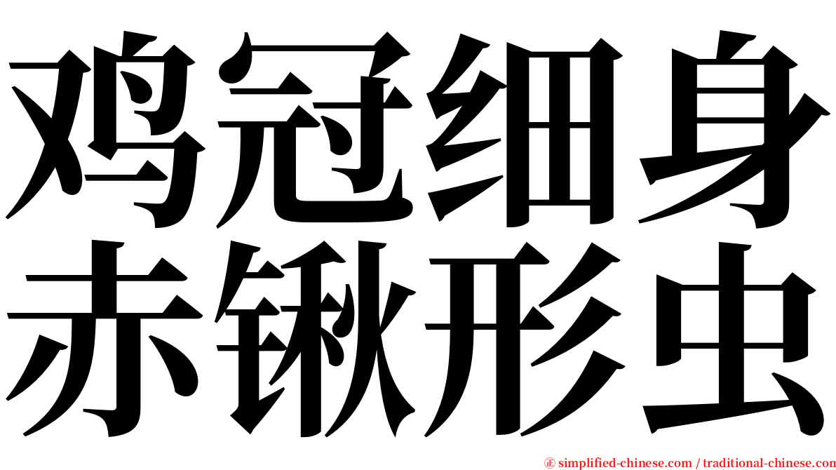 鸡冠细身赤锹形虫 serif font