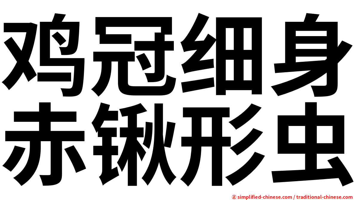 鸡冠细身赤锹形虫