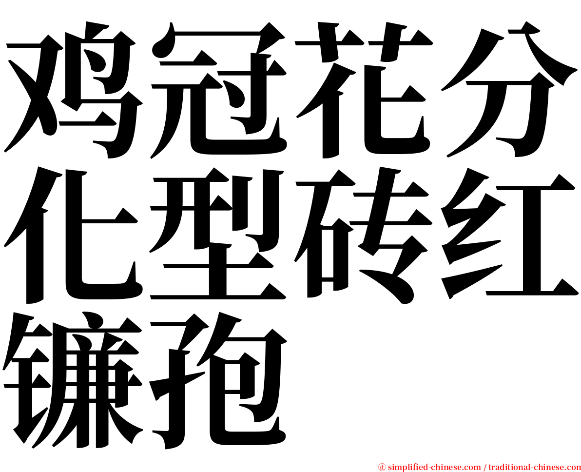 鸡冠花分化型砖红镰孢 serif font