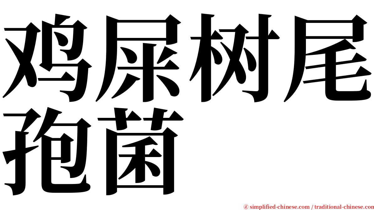 鸡屎树尾孢菌 serif font