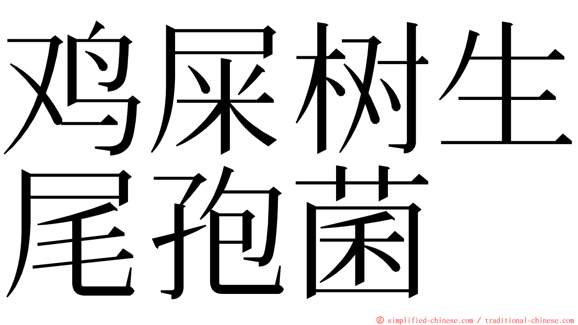 鸡屎树生尾孢菌 ming font