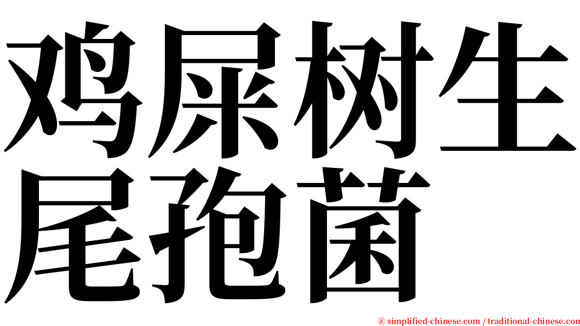 鸡屎树生尾孢菌 serif font