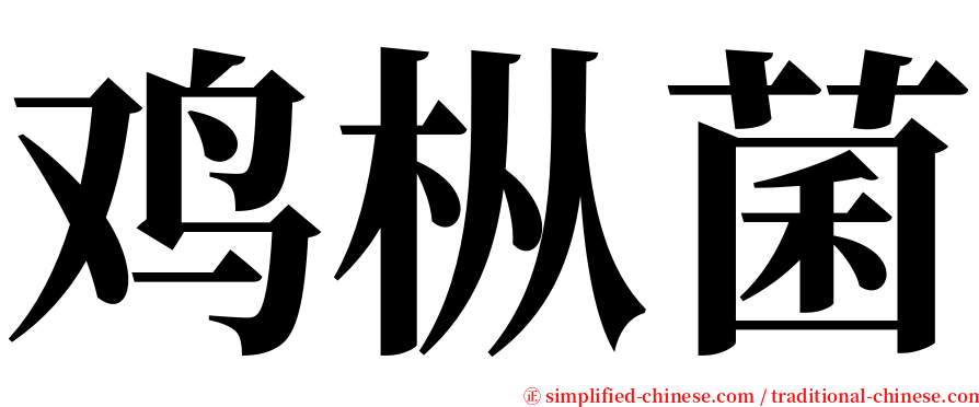 鸡枞菌 serif font