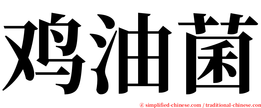 鸡油菌 serif font