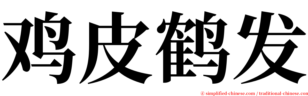 鸡皮鹤发 serif font