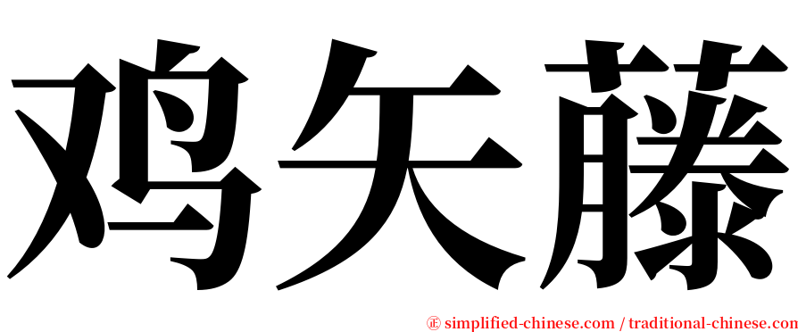 鸡矢藤 serif font