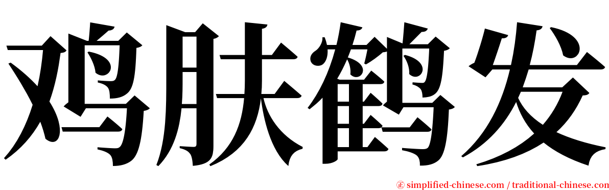 鸡肤鹤发 serif font