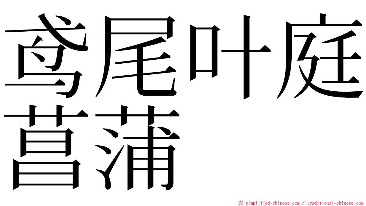 鸢尾叶庭菖蒲 ming font