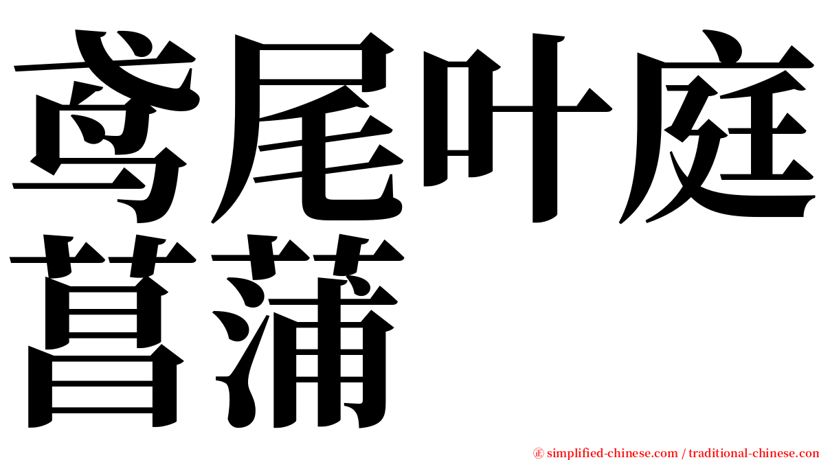 鸢尾叶庭菖蒲 serif font