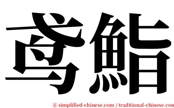 鸢鮨 serif font