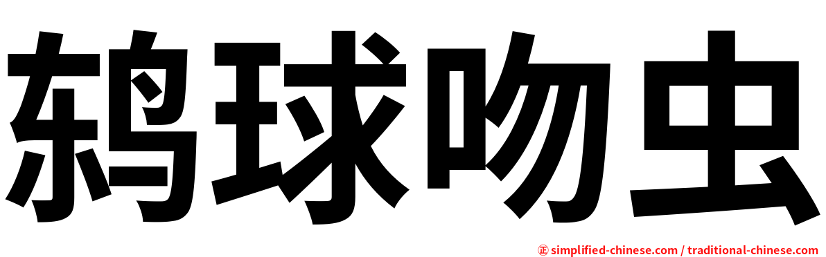 鸫球吻虫