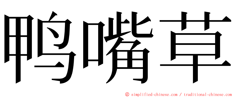 鸭嘴草 ming font