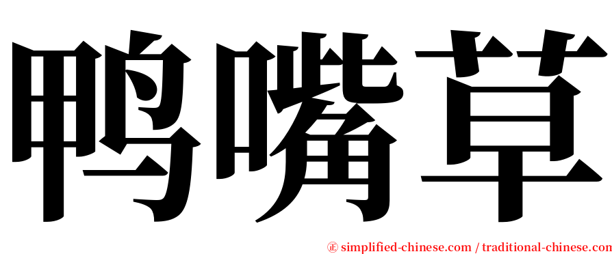 鸭嘴草 serif font