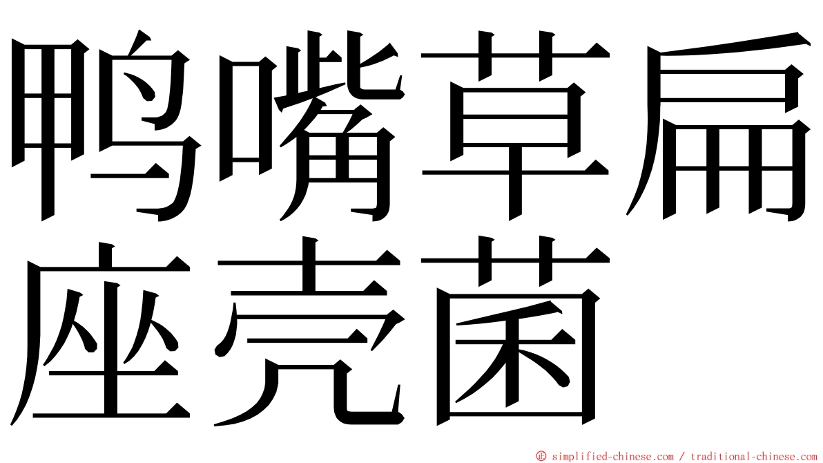 鸭嘴草扁座壳菌 ming font