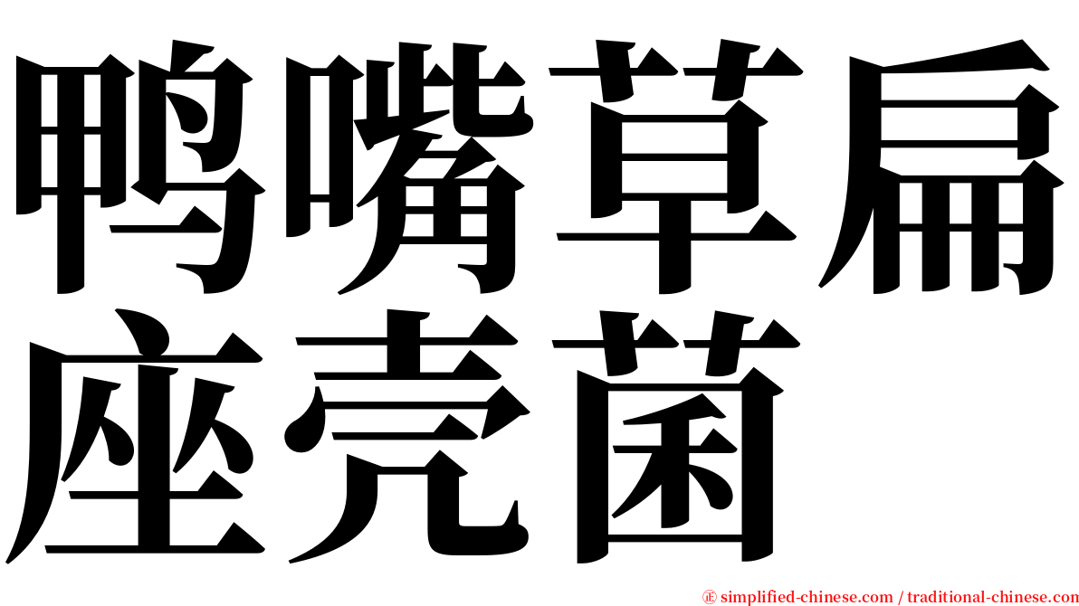 鸭嘴草扁座壳菌 serif font