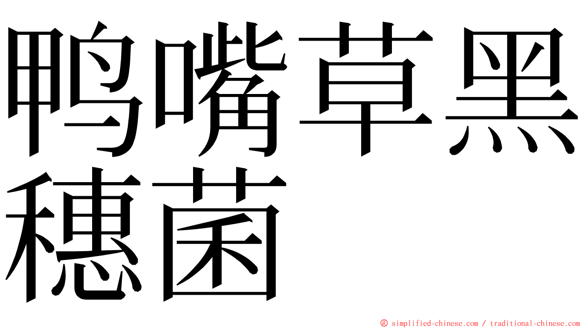 鸭嘴草黑穗菌 ming font