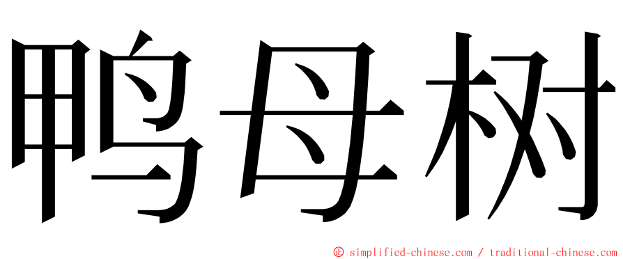 鸭母树 ming font