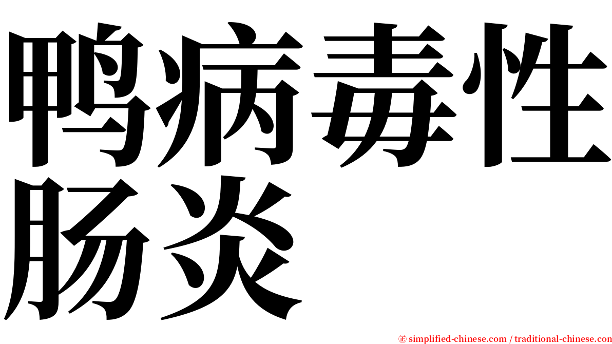 鸭病毒性肠炎 serif font