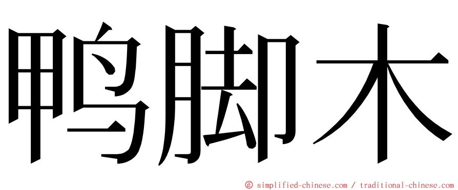 鸭脚木 ming font