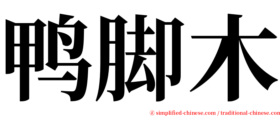 鸭脚木 serif font