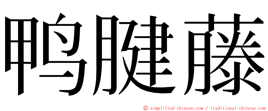 鸭腱藤 ming font