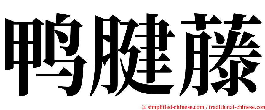 鸭腱藤 serif font