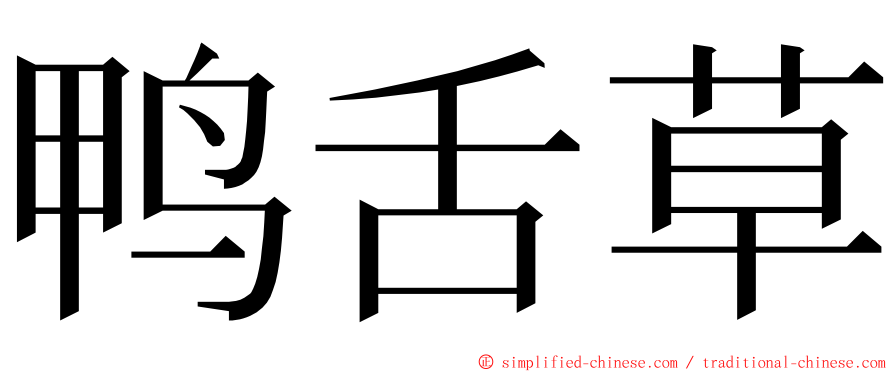 鸭舌草 ming font
