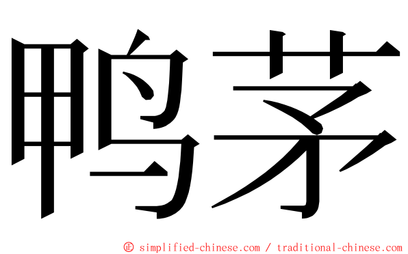 鸭茅 ming font