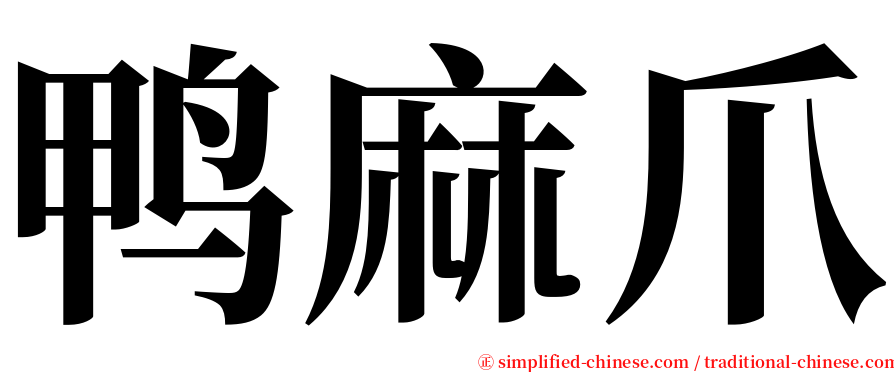 鸭麻爪 serif font