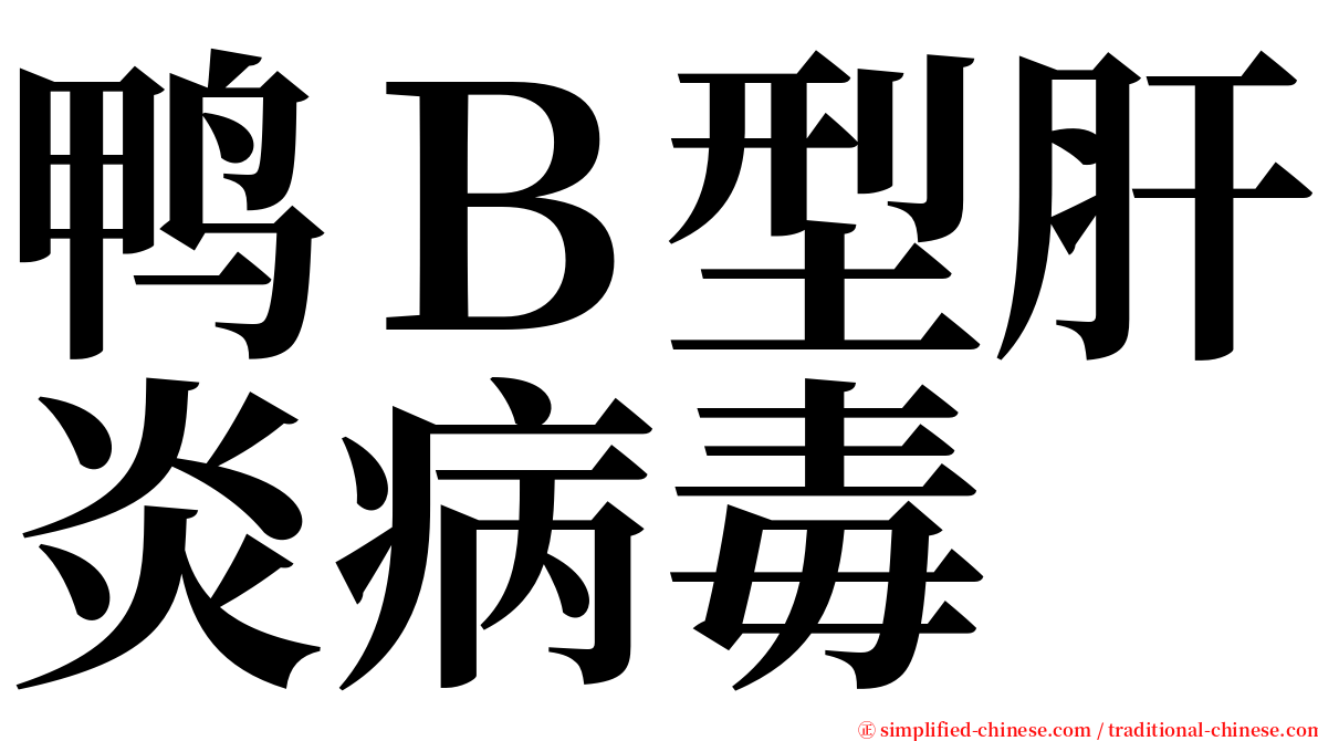鸭Ｂ型肝炎病毒 serif font