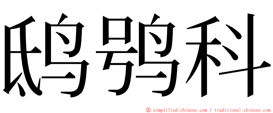 鸱鸮科 ming font