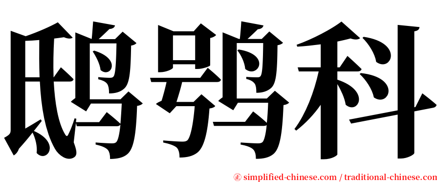 鸱鸮科 serif font