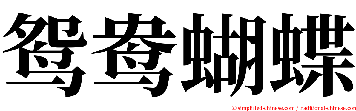 鸳鸯蝴蝶 serif font