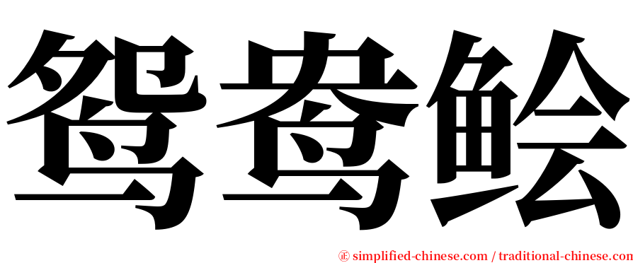 鸳鸯鲙 serif font