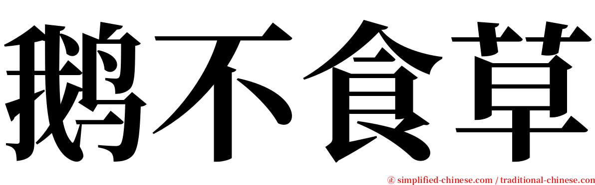 鹅不食草 serif font