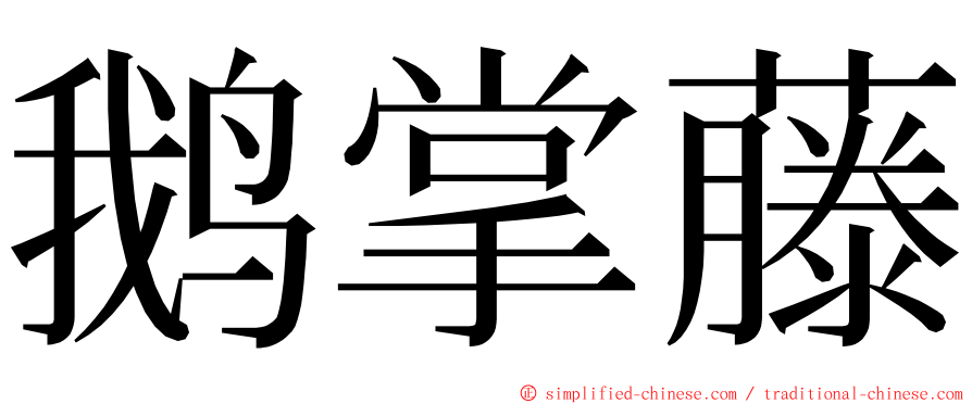 鹅掌藤 ming font