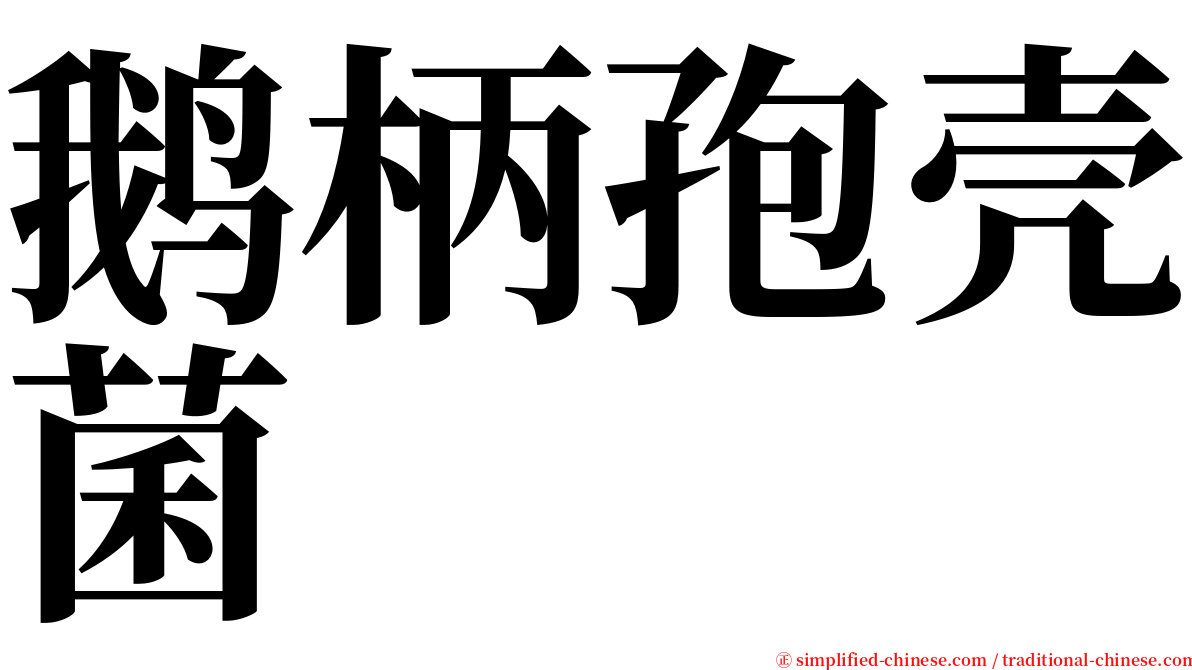 鹅柄孢壳菌 serif font