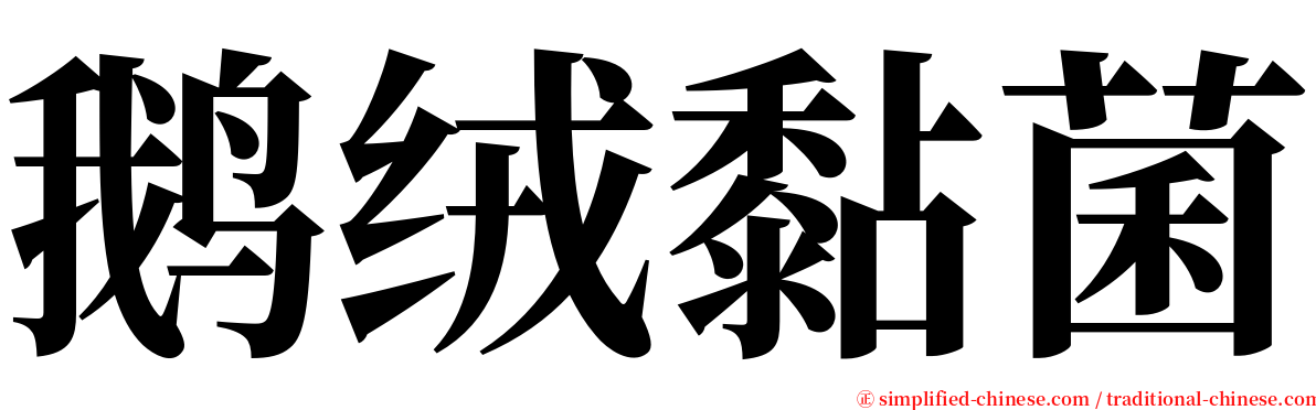 鹅绒黏菌 serif font