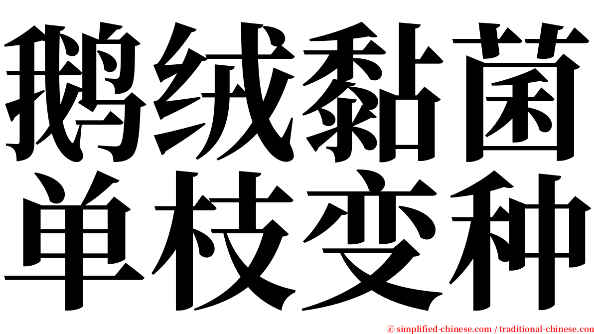 鹅绒黏菌单枝变种 serif font