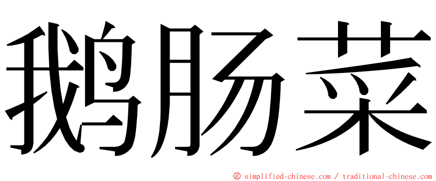 鹅肠菜 ming font