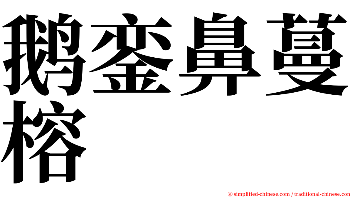 鹅銮鼻蔓榕 serif font