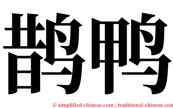 鹊鸭 serif font