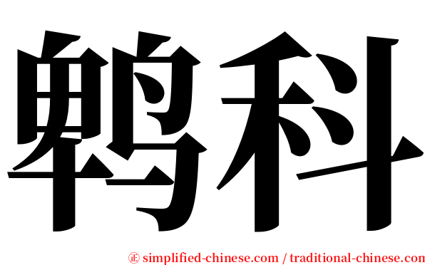 鹎科 serif font