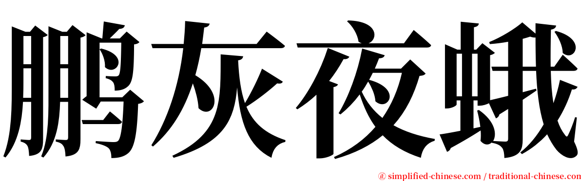 鹏灰夜蛾 serif font