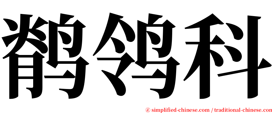 鹡鸰科 serif font