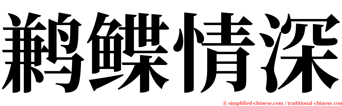 鹣鲽情深 serif font