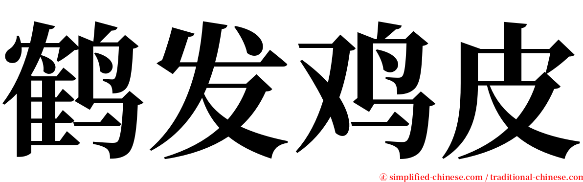 鹤发鸡皮 serif font