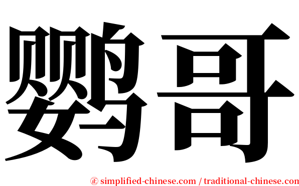 鹦哥 serif font