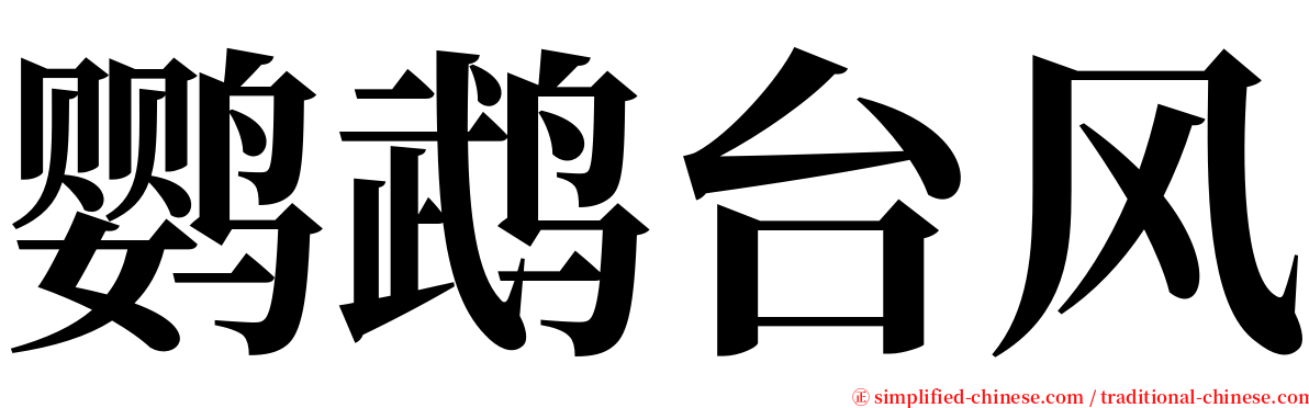 鹦鹉台风 serif font